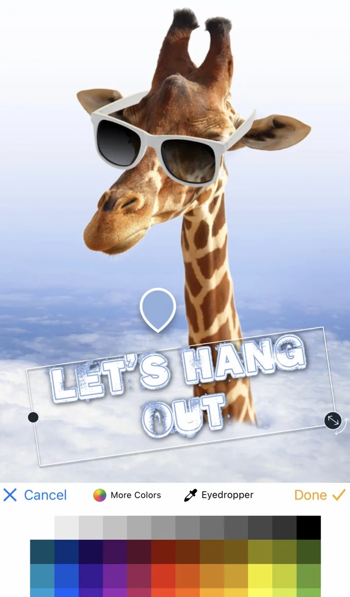 The Funny Photo Editor Pro text tool captioning a giraffe in sunglasses with LET'S HANG OUT, with a color palette, More Colors and Eyedropper controls