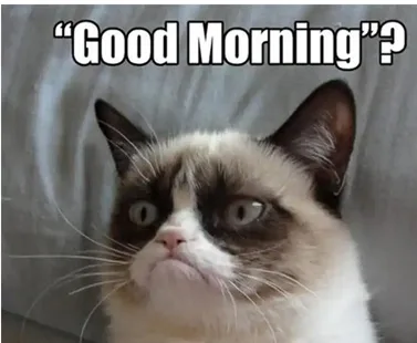 Grumpy cat captioned Good Morning