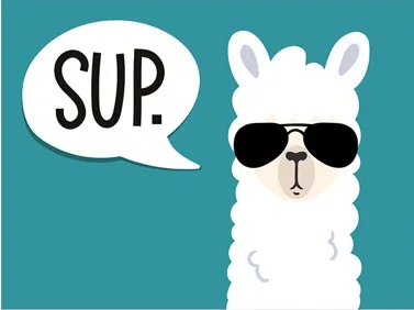 Llama in sunglasses with a SUP speech bubble